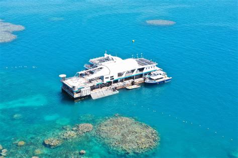 Captivating Underwater Excursions with Reef Magic Pontoon